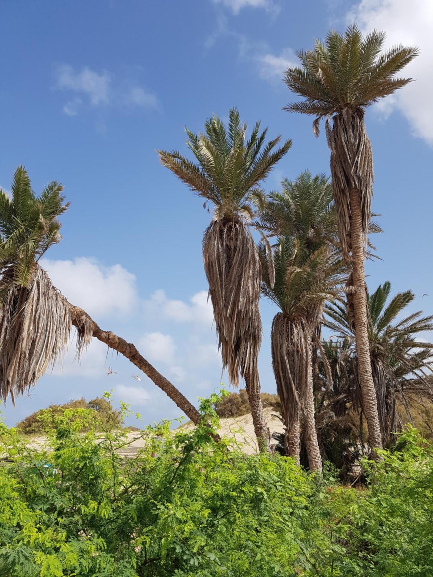 לינה וארוחת בוקר Cidade do Maio Torre Sabina מראה חיצוני תמונה